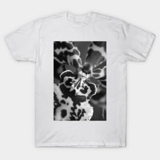 Maui Orchid T-Shirt